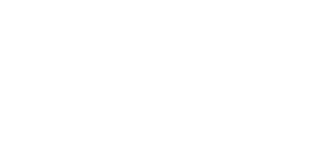 Flava Entertainment
